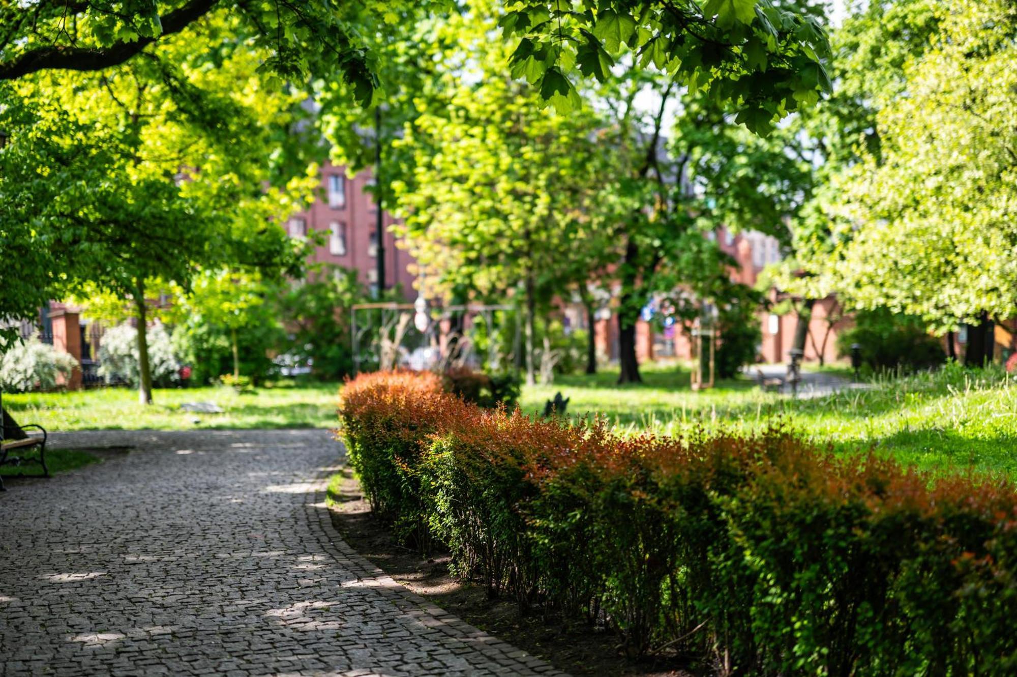 شقة Modena Moxy Te&Am Cracow كراكوفيا المظهر الخارجي الصورة